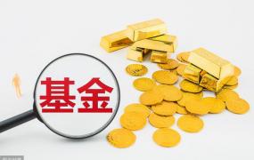 如何快速看透一只基金的好与坏？掌握这5点，好基金随你挑