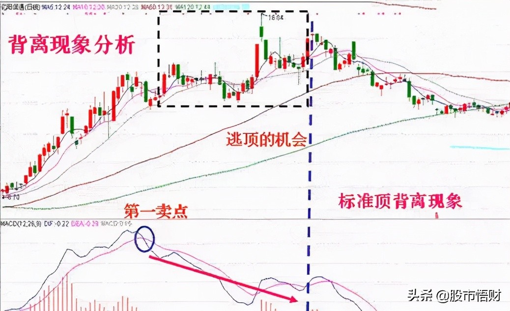 干货篇：什么是MACD顶背离与底背离，如何应用？这篇文章讲透了