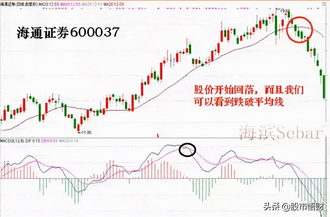 干货篇：什么是MACD顶背离与底背离，如何应用？这篇文章讲透了