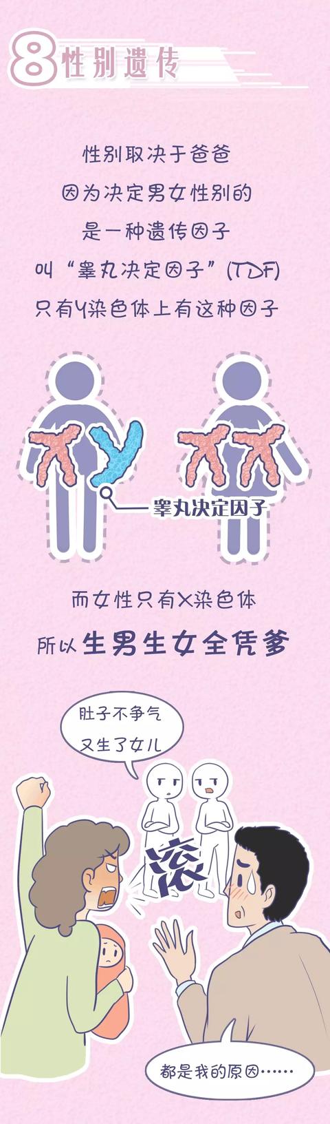 “女儿像爸，儿子像妈”？孩子智商究竟遗传谁？太准了