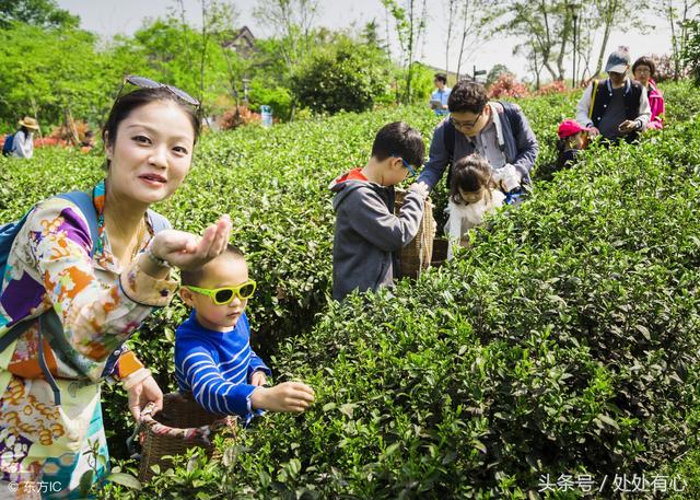 这8条旅行的意义，告诉你即使孩子小、不懂，也要带他出去旅行！