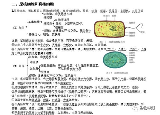 高中生物：基础知识点笔记，列提纲梳理，方便好记