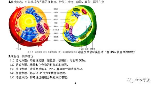 高中生物：基础知识点笔记，列提纲梳理，方便好记