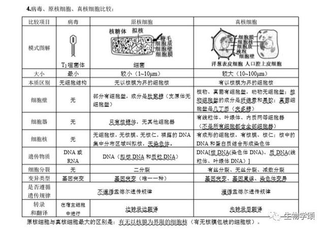 高中生物：基础知识点笔记，列提纲梳理，方便好记