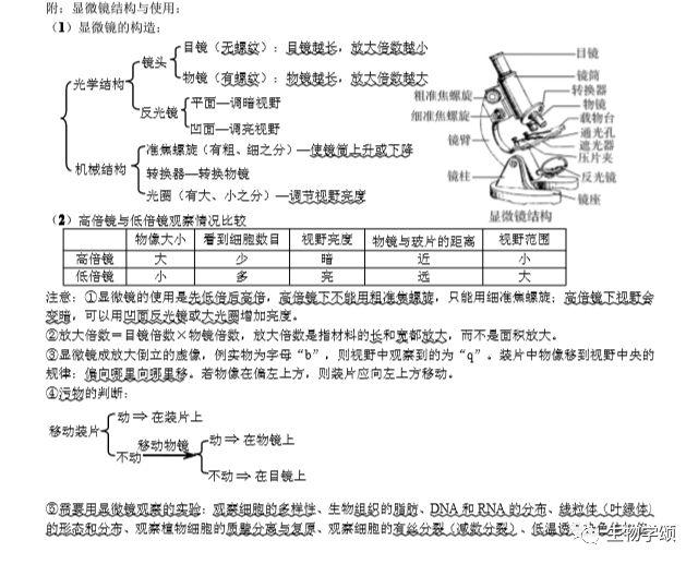 高中生物：基础知识点笔记，列提纲梳理，方便好记