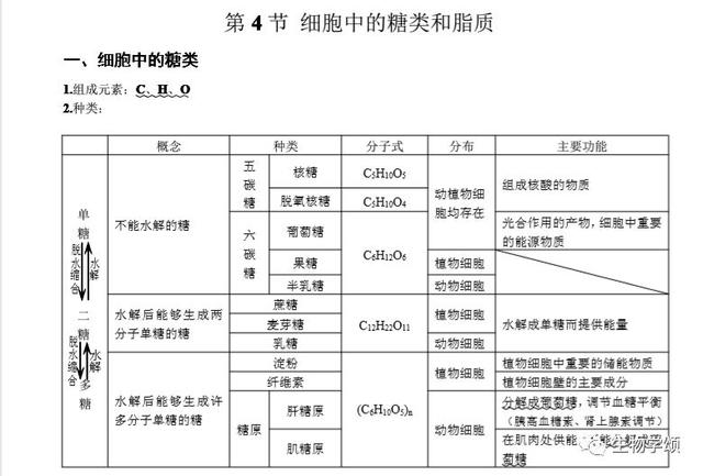 高中生物：基础知识点笔记，列提纲梳理，方便好记