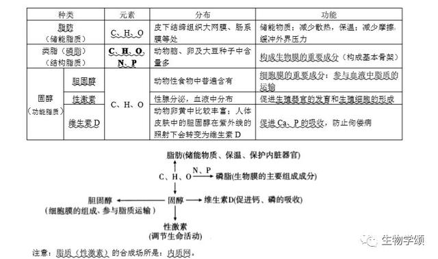 高中生物：基础知识点笔记，列提纲梳理，方便好记