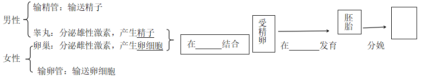 最新2022中考生物知识点整理