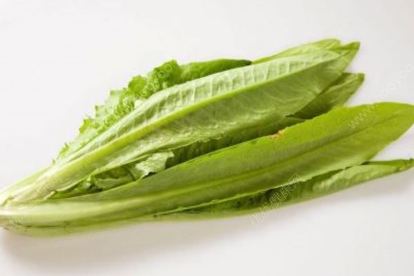 哪些野菜有药用价值？吃野菜要注意什么？(1)