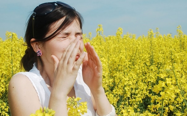 花粉过敏脸肿了怎么办？花粉过敏怎么办？(1)