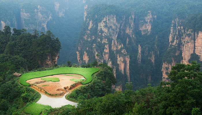 张家界旅游攻略自由行攻略  张家界旅游有什么好玩的