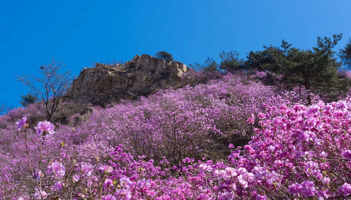 达州旅游攻略 四川达州旅游最佳路线