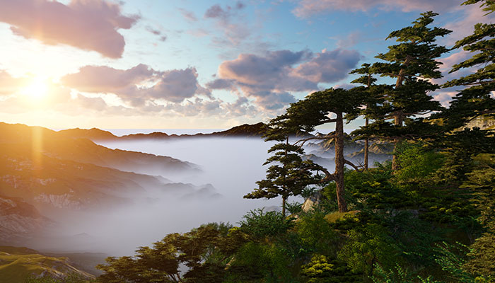 泰山在哪里 泰山在哪个省份