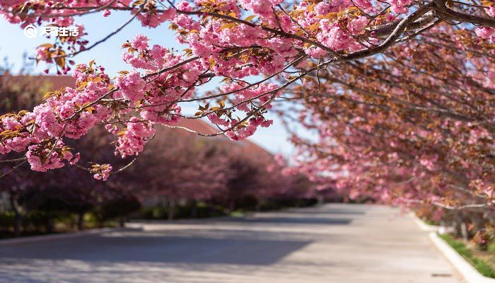 广安市春季赏花去哪里