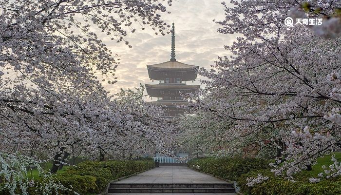 本溪市春季赏花去哪里