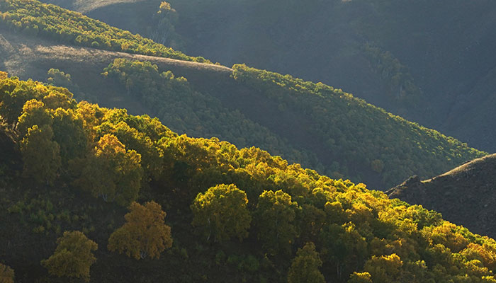 内蒙古黄花沟有什么好玩的 黄花沟旅游景区好玩吗