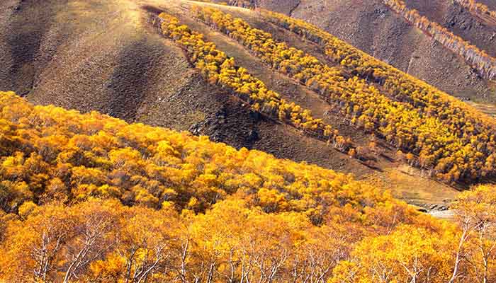 黄花沟旅游景区在哪里 黄花沟在哪里