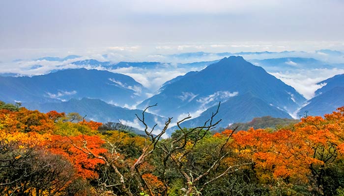 贵州省旅游景点 贵州有哪些旅游景点比较好玩