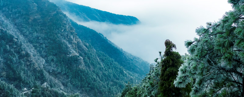 庐山旅游攻略二日游 庐山旅游攻略