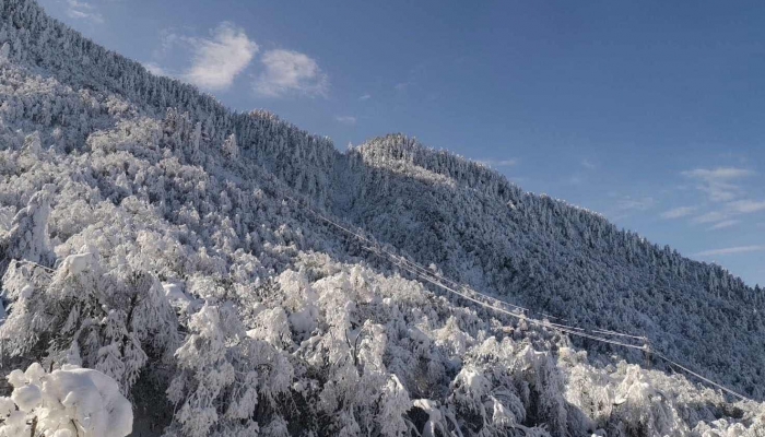 峨眉山景区旅游攻略 峨眉山一日游最佳路线