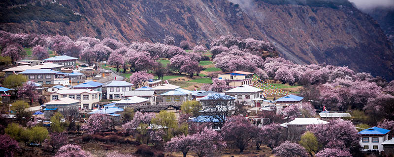 林芝旅游攻略 西藏林芝自由行怎么玩