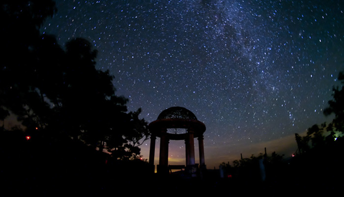 最冷酷无情的星座 什么星座最冷酷无情