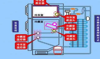 冰箱通电后怎么工作 冰箱的工作原理是什么