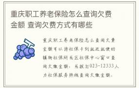 重庆职工养老保险怎么查询欠费金额