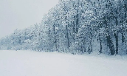 2023年2月份下雪的地方有哪些3