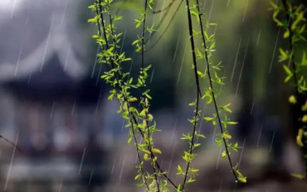 雨水节气几点到20232