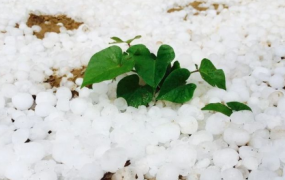 下冰雹能上高速吗 在高速上突然下冰雹怎么办