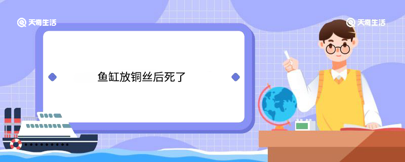 鱼缸放铜丝后死了