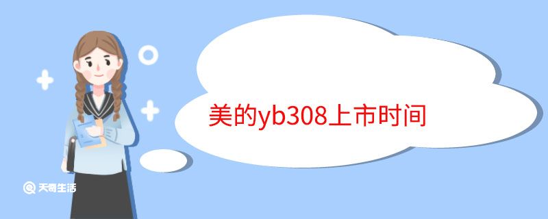 美的yb308上市时间