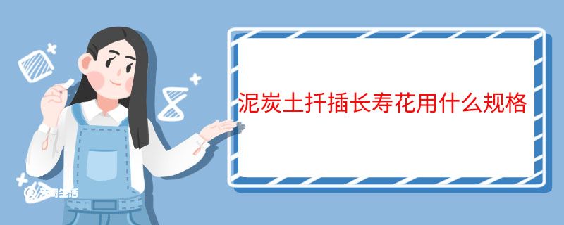 泥炭土扦插长寿花用什么规格