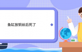 鱼缸放铜丝后死了 鱼缸放铜丝后死了怎么回事