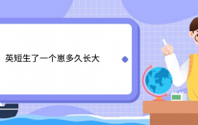 英短生了一个崽多久长大 英短生了一个崽多久可以长大