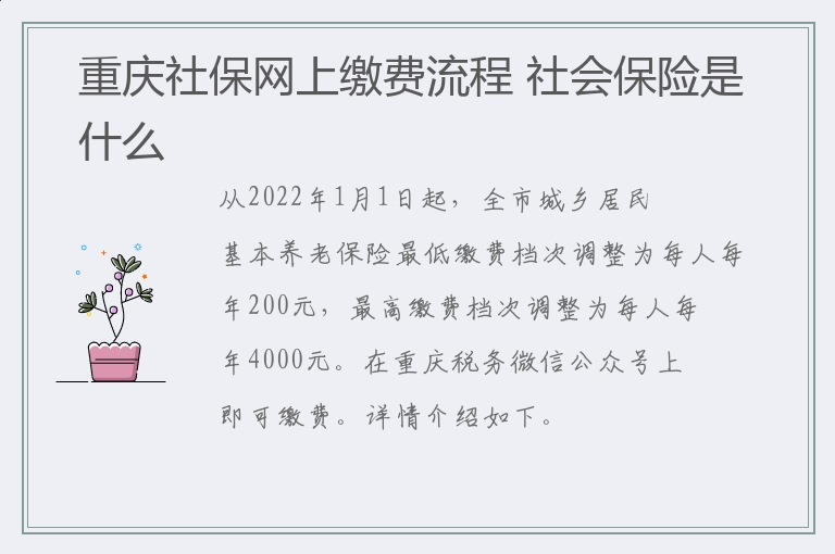 https://cy.qubaike.com/shenghuo/重庆社保网上缴费流程 社会保险是什么