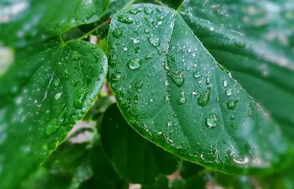 湖南下雨为什么要下到五月20233