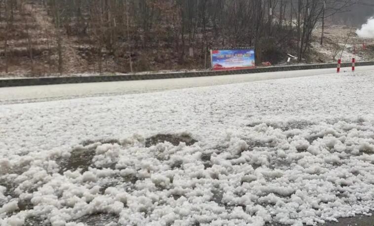 雪籽和雪花的区别是什么