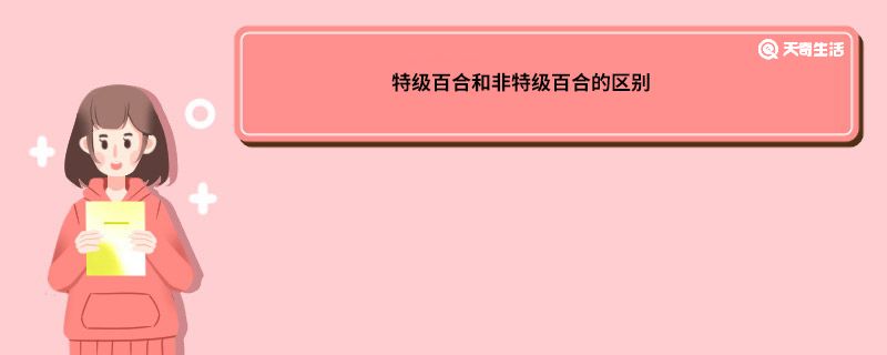 特级百合和非特级百合的区别