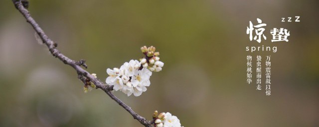 惊蜇是什么节气 惊蜇有什么特征