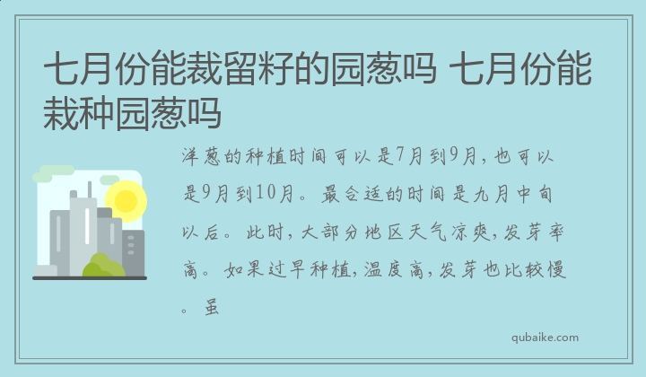 七月份能裁留籽的园葱吗 七月份能栽种园葱吗