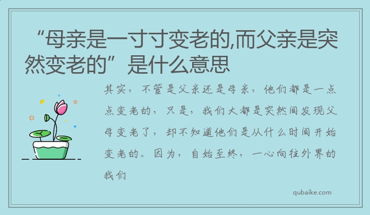 “母亲是一寸寸变老的,而父亲是突然变老的”是什么意思