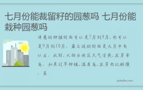 七月份能裁留籽的园葱吗 七月份能栽种园葱吗