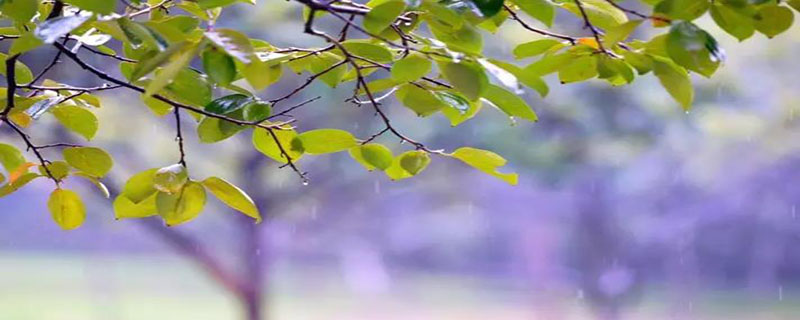 蒙蒙细雨牛毛细雨哪个雨量大