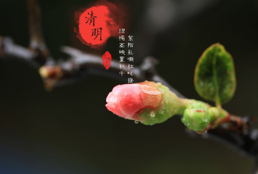 清明节烧纸在白天还是晚上1