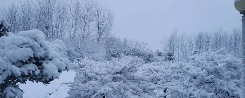 元旦下雪有什么寓意