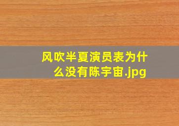 风吹半夏演员表为什么没有陈宇宙