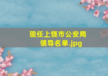 现任上饶市公安局领导名单