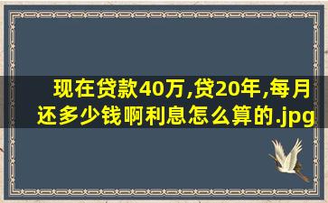 现在贷款40万,贷20年,每月还多少钱啊利息怎么算的